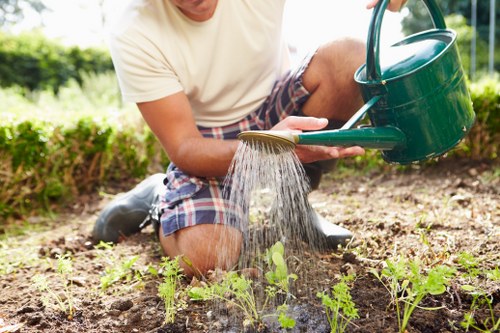 Person trimming a garden hedge in Hornsey