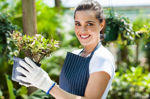 Choosing professional hedge trimming experts in Hornsey.