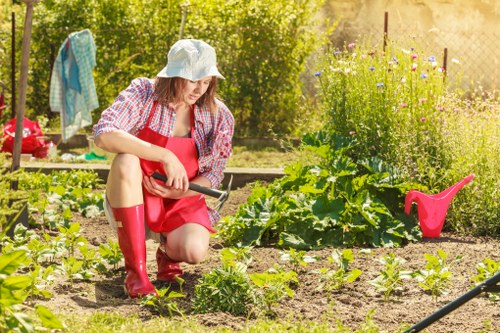 Expert consultation for hedge maintenance