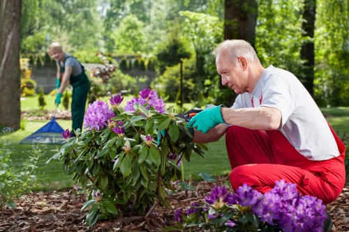 Gardener trimming shrubs in Hornsey