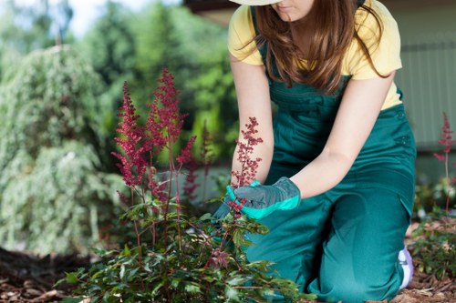 Crew demonstrating safe pruning techniques during Hornsey hedge trimming