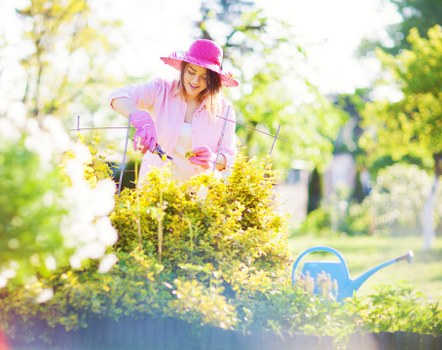 A woman in a pink sunhat, pink gardening gloves, and a light-colored top is trimming a neatly maintained, dense hedge in a sunlit garden. The hedge consists of small, leafy green foliage, and is positioned along the edge of a garden bed that contains various shrubs and flowering plants. The garden features a lush green lawn in the foreground, with a paved pathway visible nearby, leading to a background of tall trees with fresh spring foliage. A blue watering can is placed on the grass beside her, indicating ongoing outdoor maintenance. Bright natural sunlight illuminates the scene, casting soft shadows and highlighting the vibrant colours of the plants and the woman's attire. The garden appears well-organized and thoughtfully landscaped, suitable for outdoor gardening services such as hedge trimming and lawn care, with a focus on maintaining healthy, tidy greenery in the Hornsey area.
