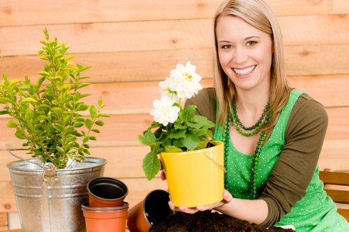 Seasonal garden maintenance tips