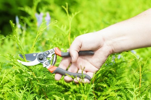 Seasonal hedge trimming tools and techniques