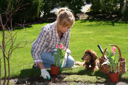 Eco-friendly pest control methods in Hornsey garden