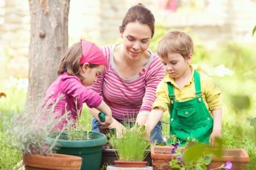 Eco-friendly lawn mowing practices in Hornsey gardens