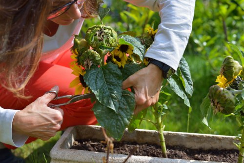Sustainable maintenance practices in a Hornsey landscape garden