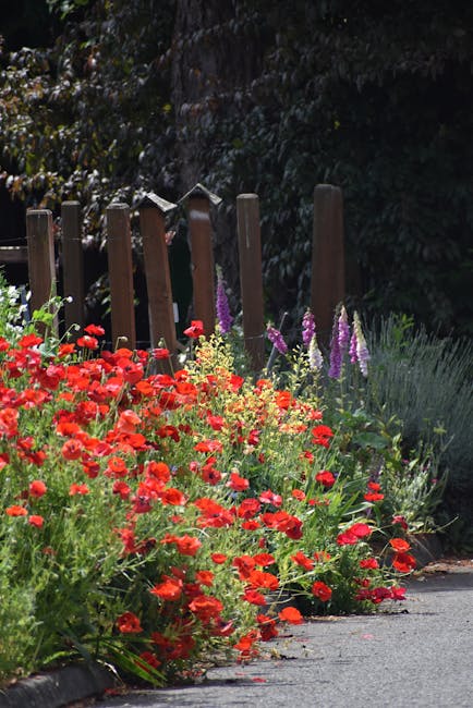 A garden scene showing a neatly trimmed hedge with dense green foliage forming a natural border along a paved pathway. In the foreground, there is a well-maintained lawn with short, vibrant grass, bor